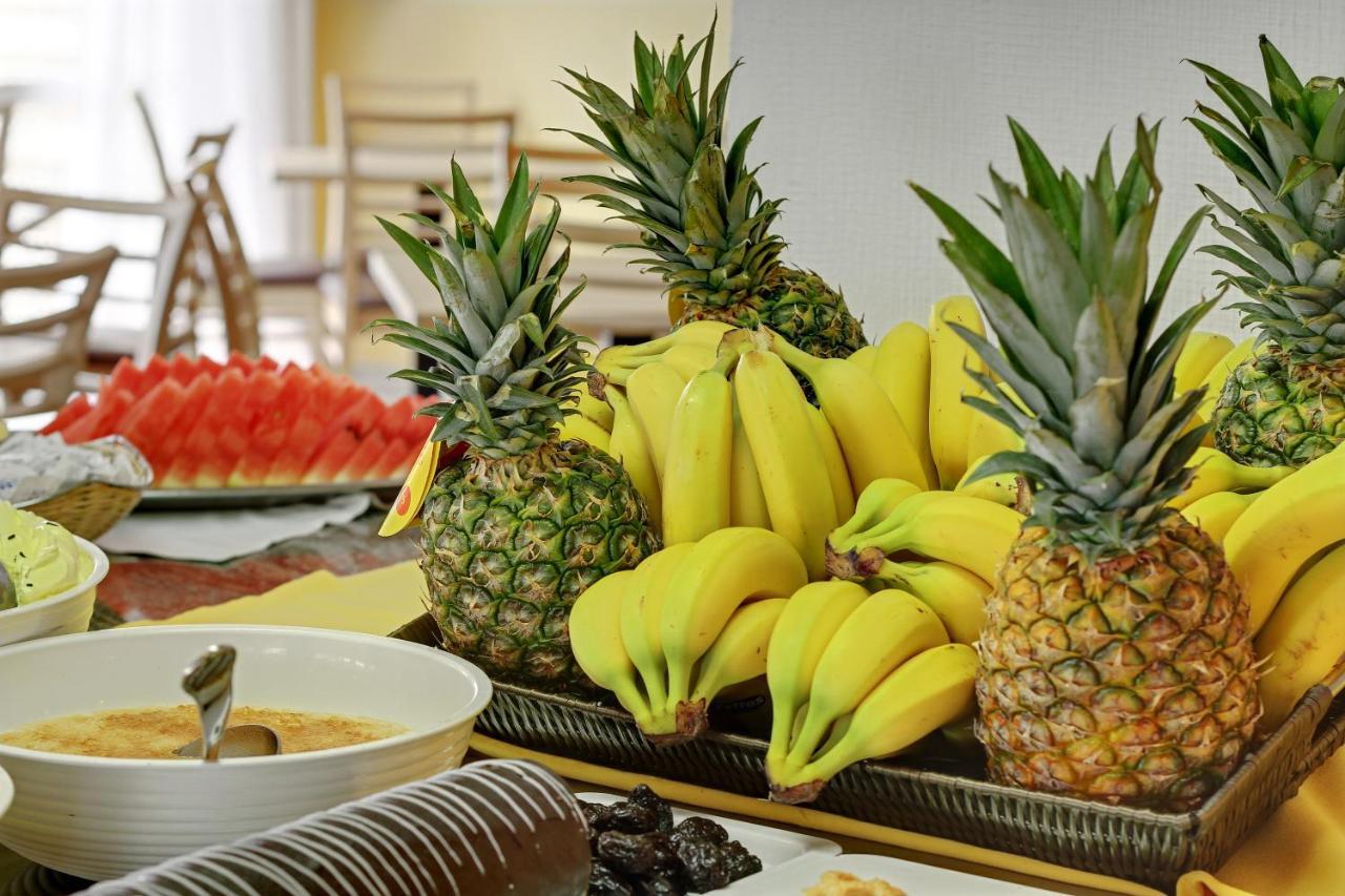 Hotel Palia Las Palomas ตอร์เรโมลิโนส ภายนอก รูปภาพ